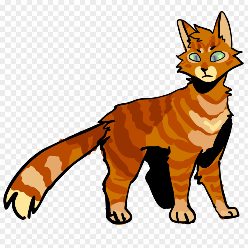 Jayfeather Sign Whiskers Wildcat Red Fox Abyssinian Cat Mammal PNG