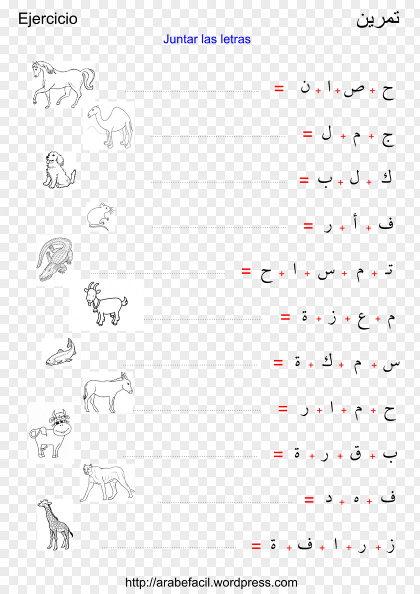 School Arabic Language Learning Education Alphabet PNG