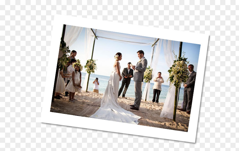 Wedding Photographic Paper Picture Frames Photography PNG