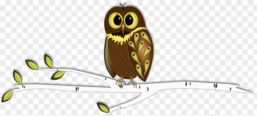 Animation Wildlife Owl Bird Of Prey Beak PNG