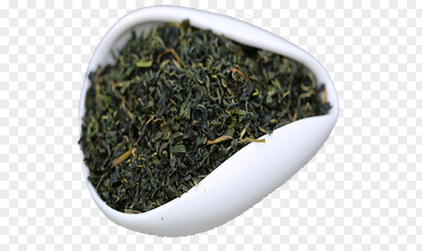 Autumn Leaves Nilgiri Tea Gyokuro Keemun Chun Mee PNG