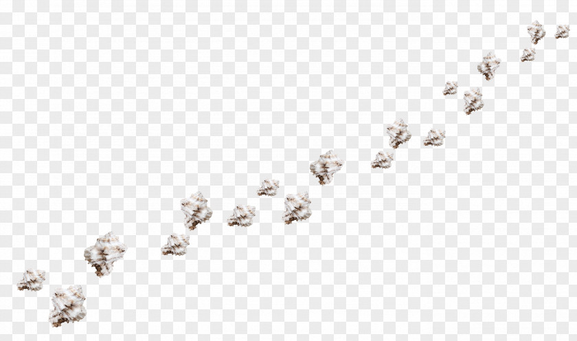 Floating Pretty Conch Game Pattern PNG