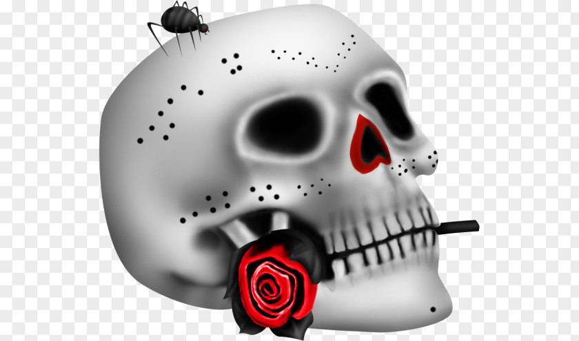 Fright Night Headgear Technology Skull PNG