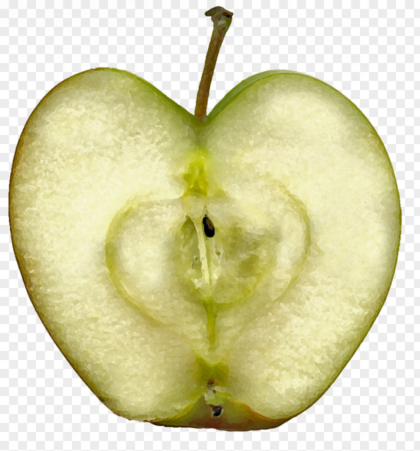Green Apple Slice IPhone Dagen Zonder Honger Clip Art PNG