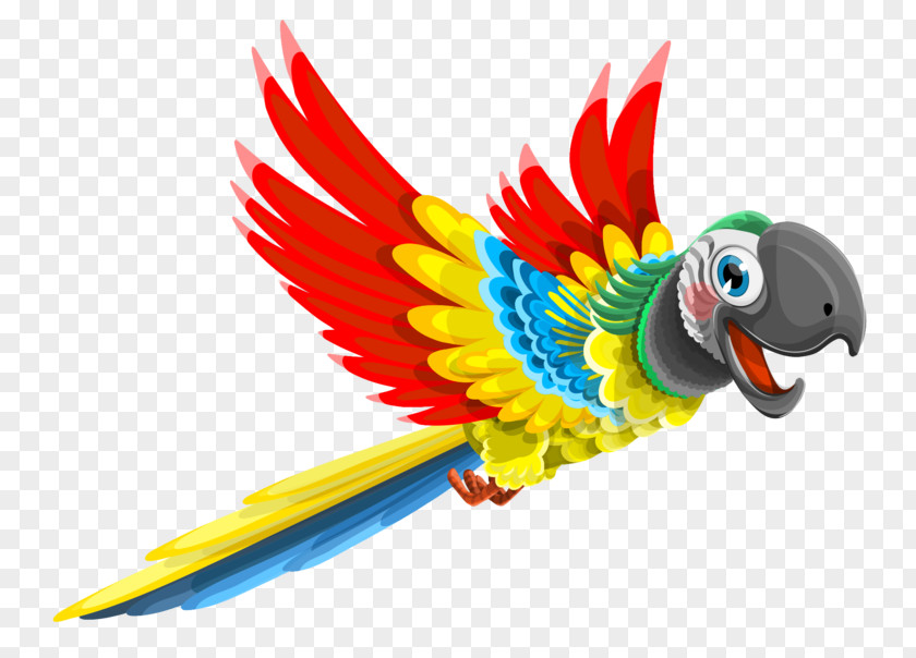 Parrot Vector Graphics Clip Art Image PNG