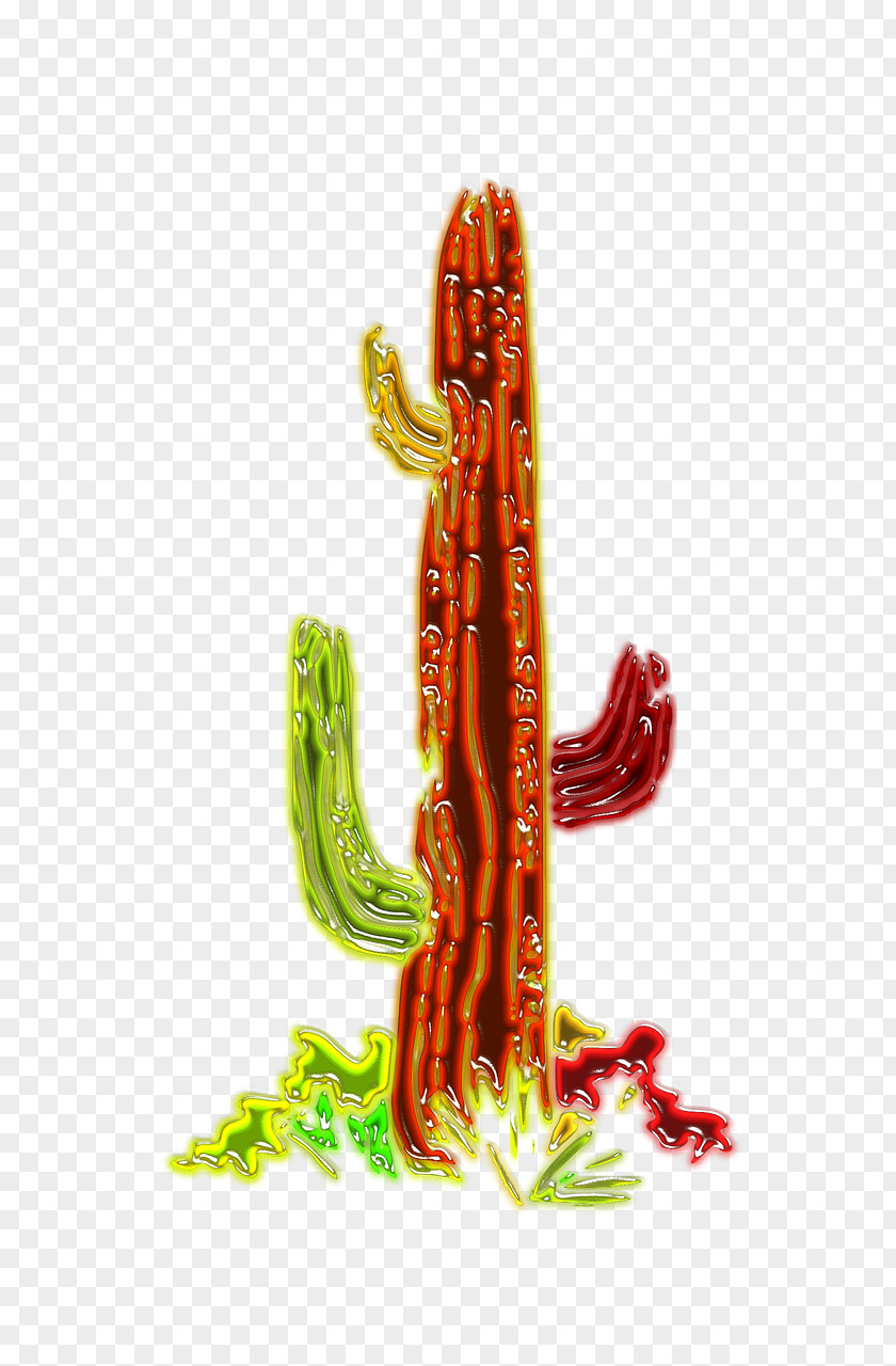 Plant Cactaceae Desert PNG