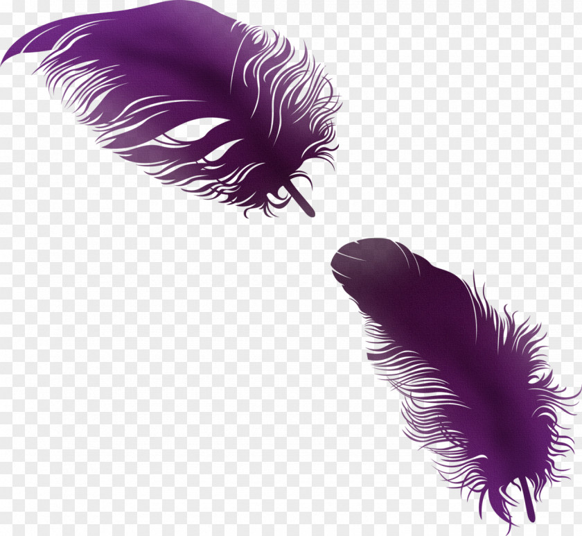 Sparrow Feather PhotoScape Clip Art PNG