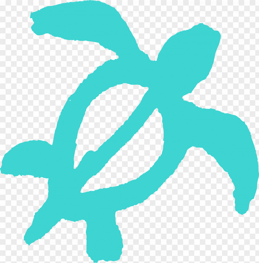Turquoise Aqua Logo PNG