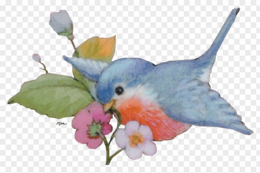Valentine Decoration Beak Parrot Feather PNG