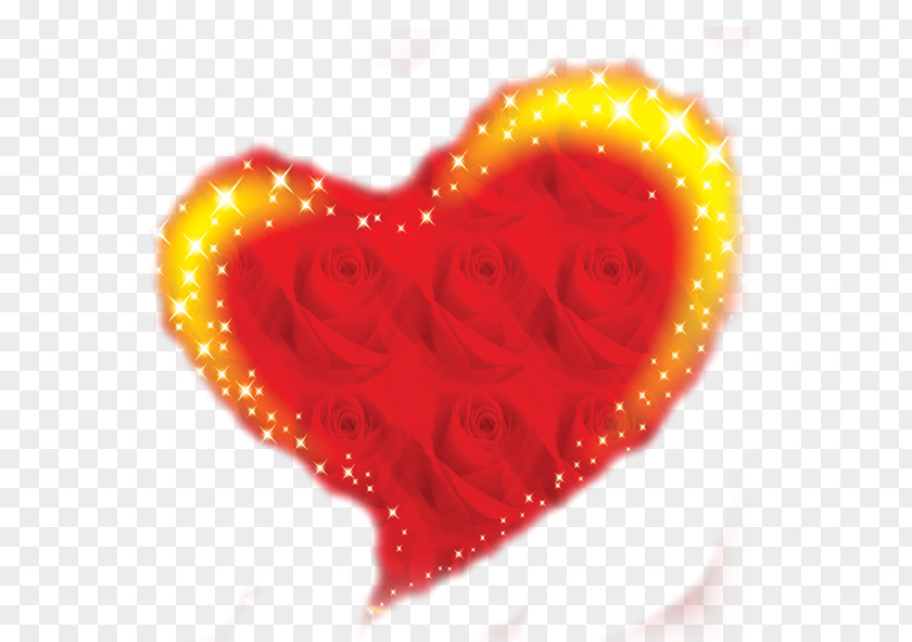 Rose Red Heart Computer File PNG