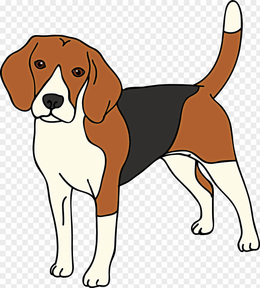 American Foxhound Harrier Dog Breed Beagle-harrier English PNG