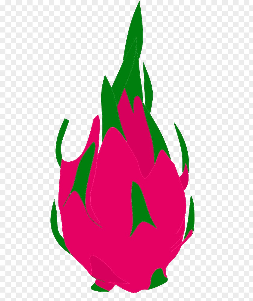 Dragon Fruit Pitaya Chili Pepper Clip Art PNG