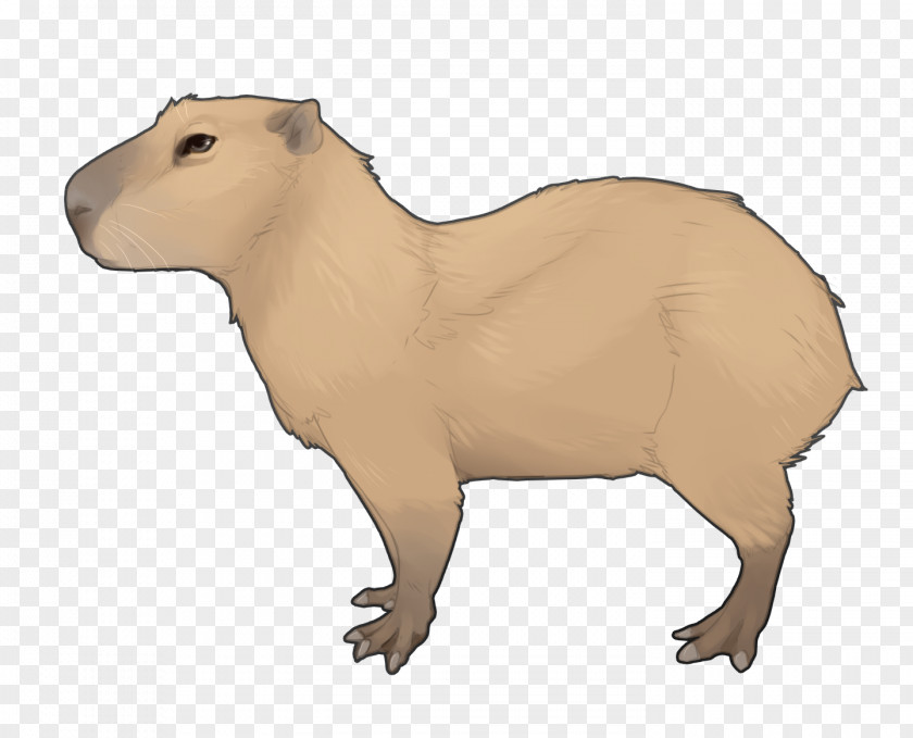 Fawn Snout Capybara Animal Figure Terrestrial PNG