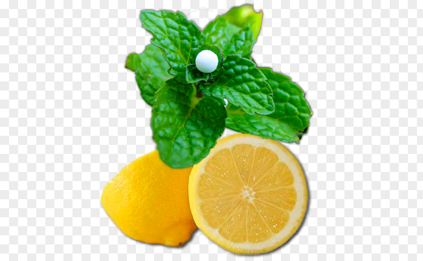 Home Remedy Lemon-lime Drink Key Lime Rangpur Citron PNG