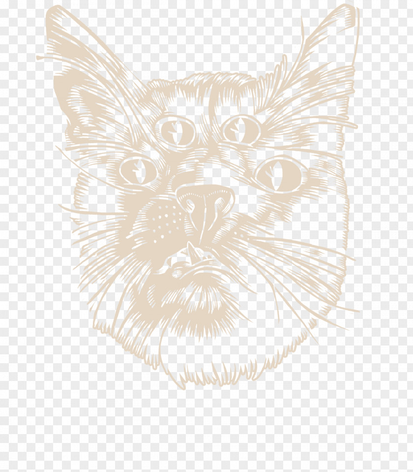 Dog Whiskers Visual Arts Paw Sketch PNG