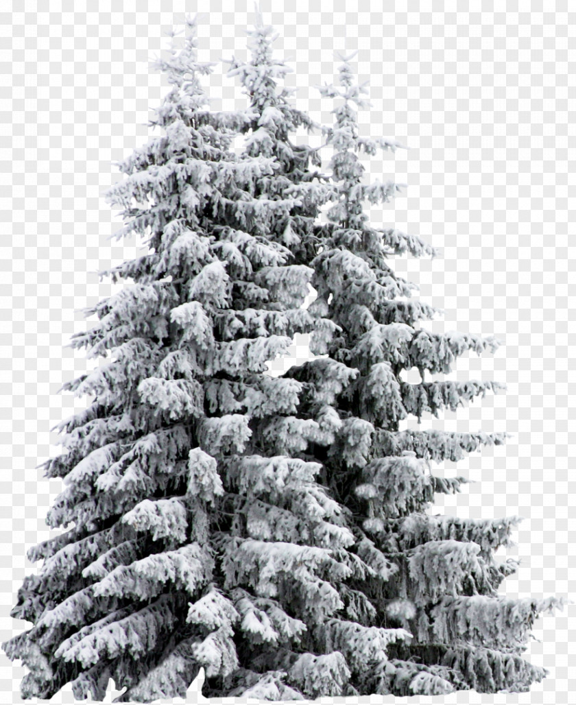 Fir-tree Artificial Christmas Tree Snow PNG