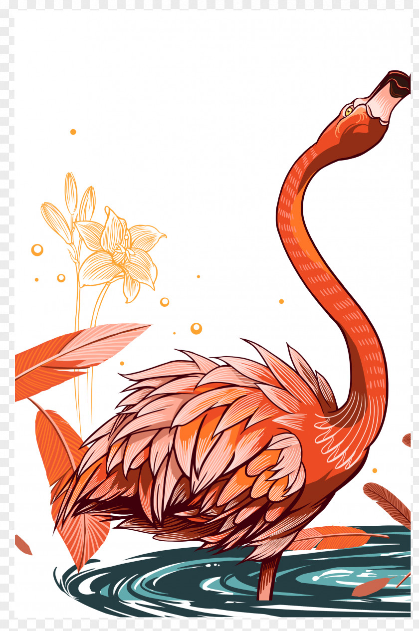 Flamingo Flamingos Lovebird Donquixote Doflamingo Illustration PNG