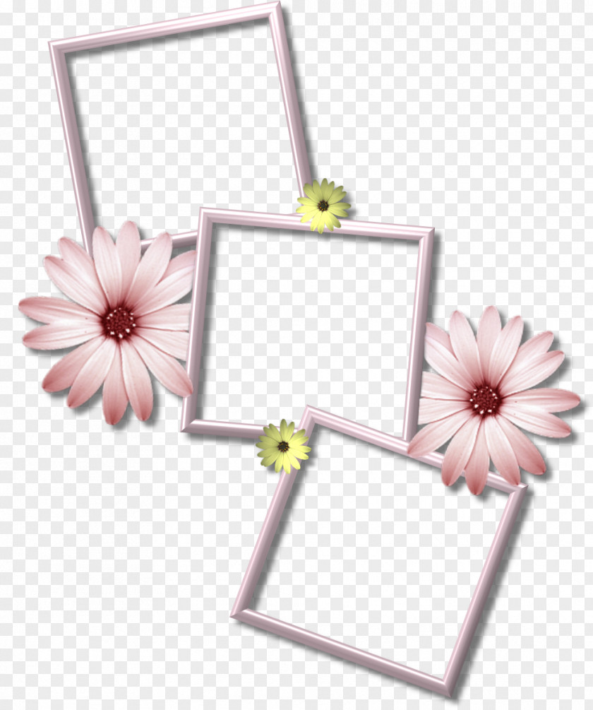Frame Picture Frames Desktop Wallpaper PNG