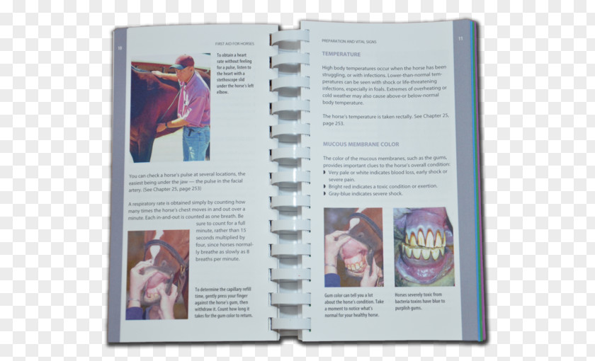 Horse Book EquiMedic USA First Aid Brochure PNG