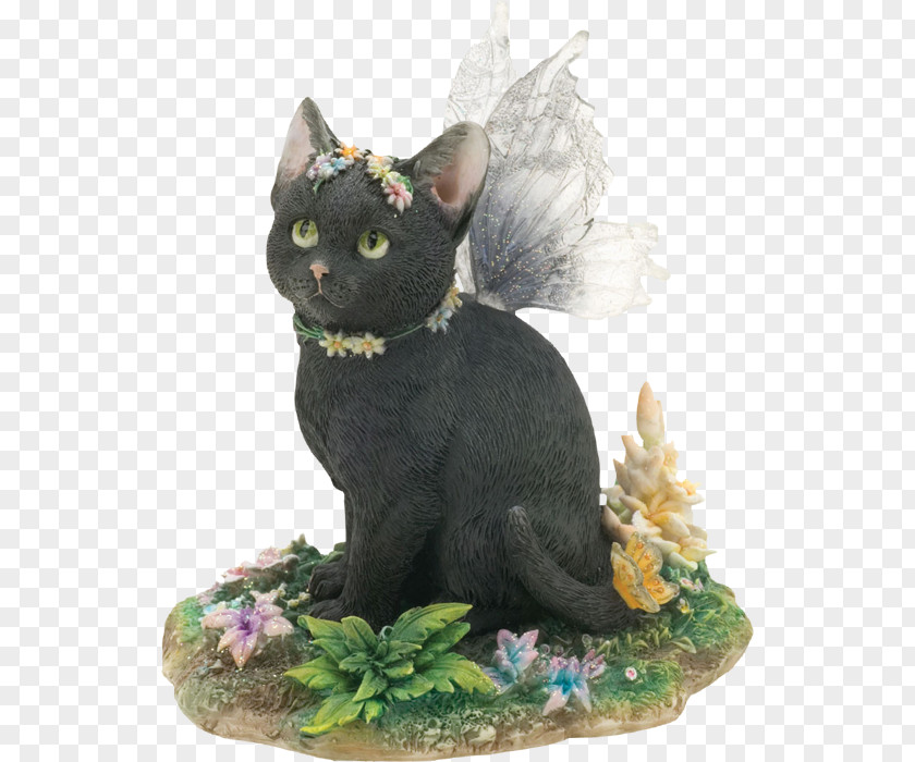 Kitten Fairy Tale Ojos Azules Black Cat PNG
