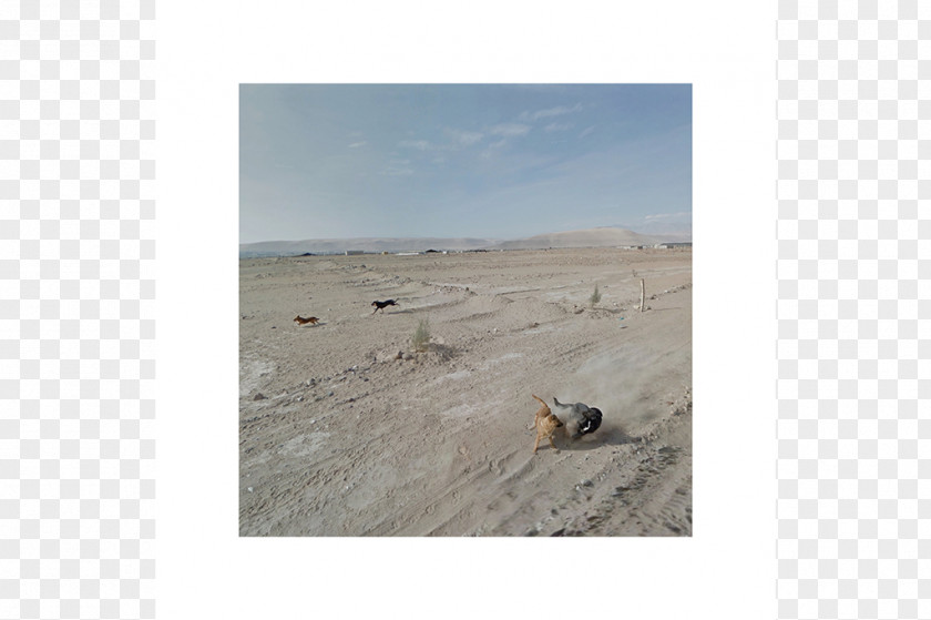 Peru Aeolian Landform Landscape Dog Ecosystem Ecoregion PNG