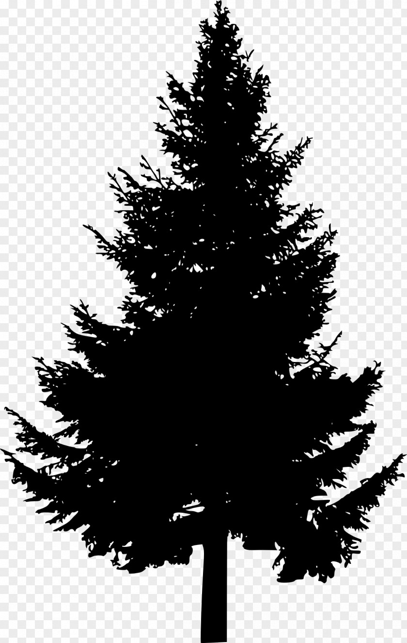 Pine Tree Silhouette Clip Art PNG