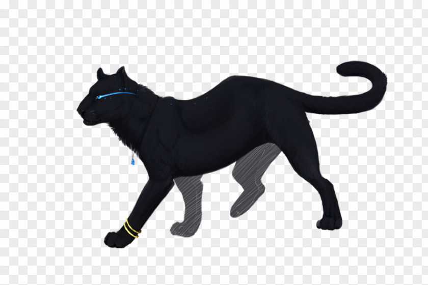 Sao Beast Tamer Cat Vector Graphics Illustration Image Illustrator PNG