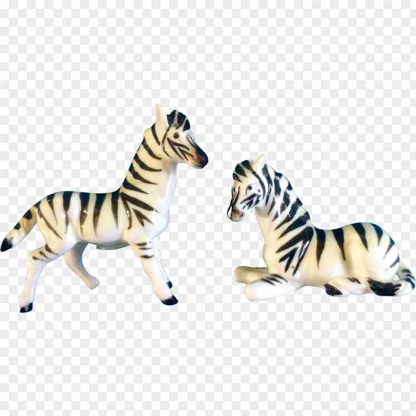 Zebra Quagga Cat Horse Mammal Animal PNG