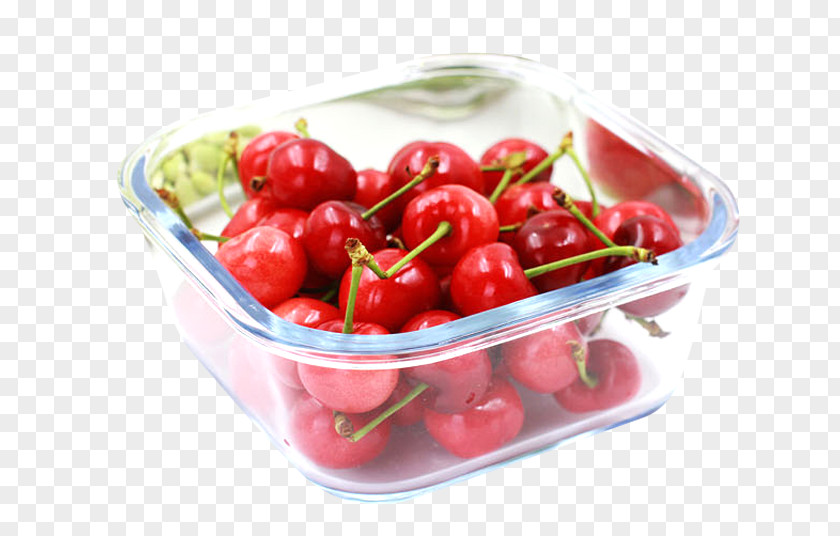 A Glass Case Containing Fruit Bento Container Box Heat PNG