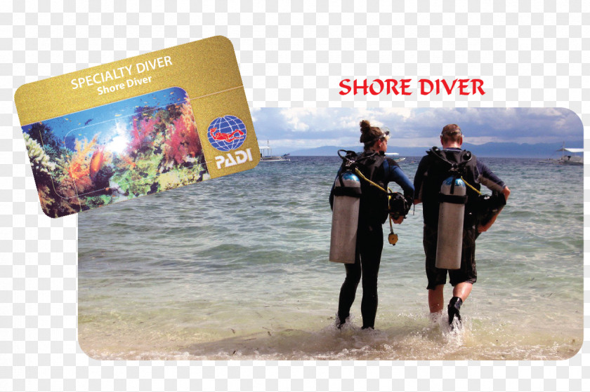 Beach Shore Love's & Dive Resort Scuba Diving PNG