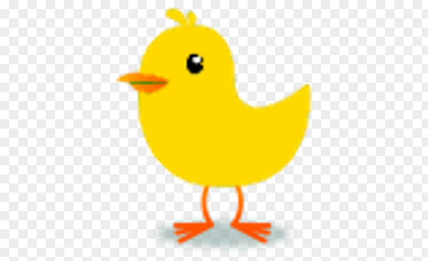 Bird Clip Art Tweety Domestic Canary PNG