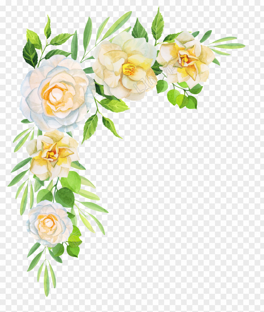 Flower Drawing Garden Roses Floral Design PNG