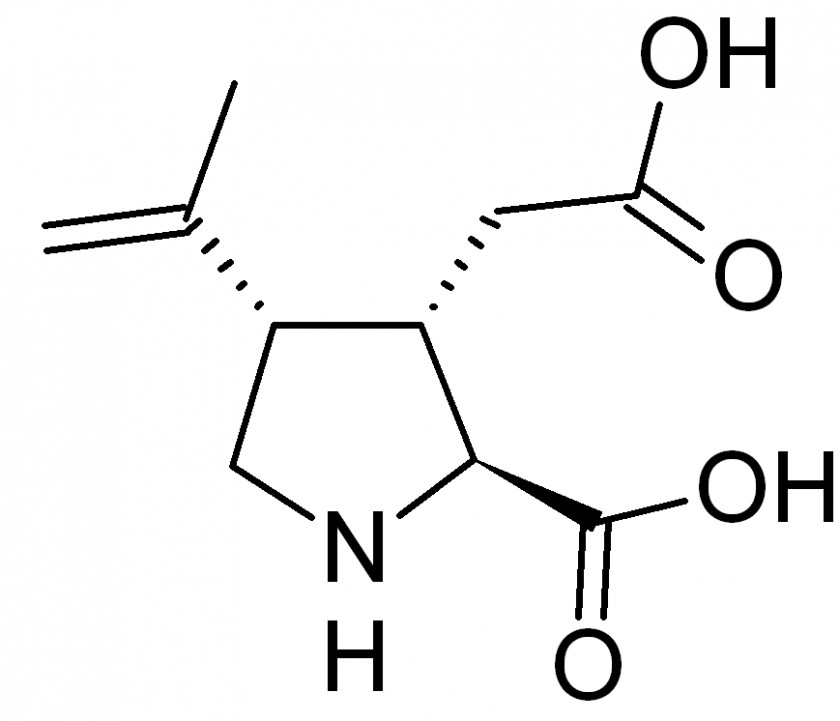 Kainic Acid Kainate Receptor Pharmaceutical Drug Chemical Substance PNG