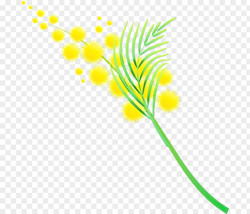 Plant Stem Pedicel Yellow Line Leaf Clip Art PNG