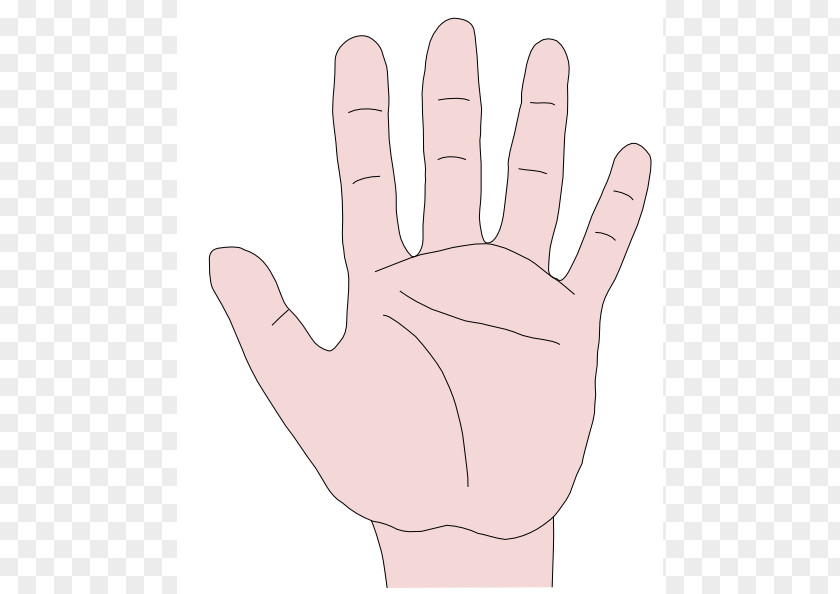 Hand Art Cliparts Somatosensory System Finger Clip PNG