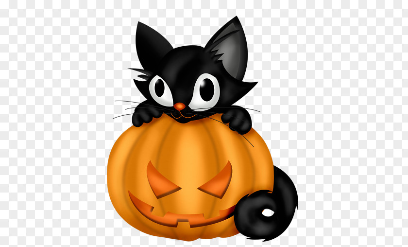 Kitten And Pumpkin Black Cat Halloween Clip Art PNG