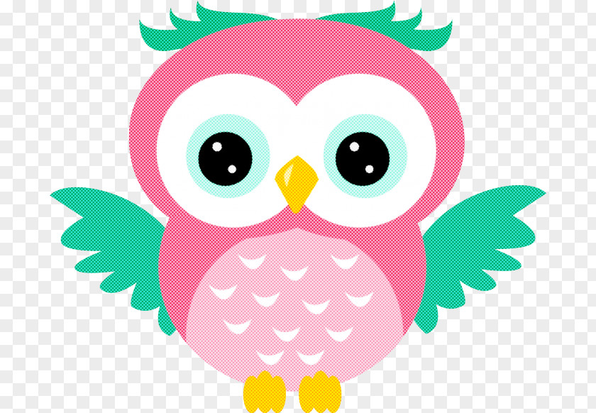 Owl Pink Green Cartoon Bird PNG