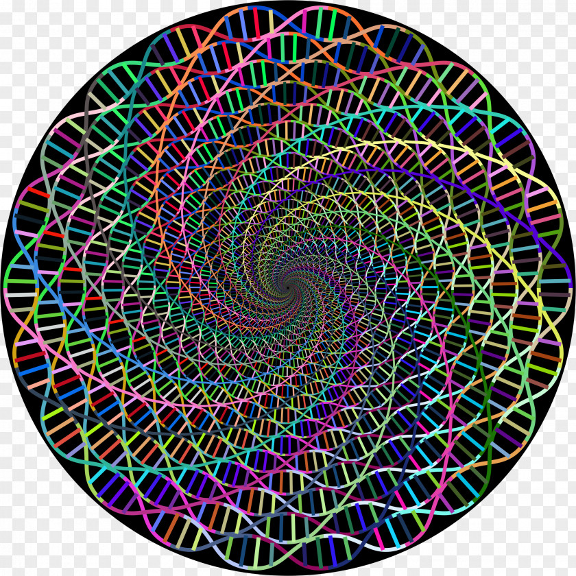 Vortex Curve Circle Spiral Clip Art PNG