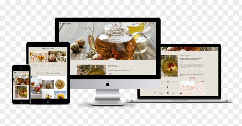 Web Design Responsive Advertising PNG