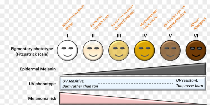 Fitzpatrick Scale Human Skin Color Von Luschan's Chromatic Fotoepilazione PNG