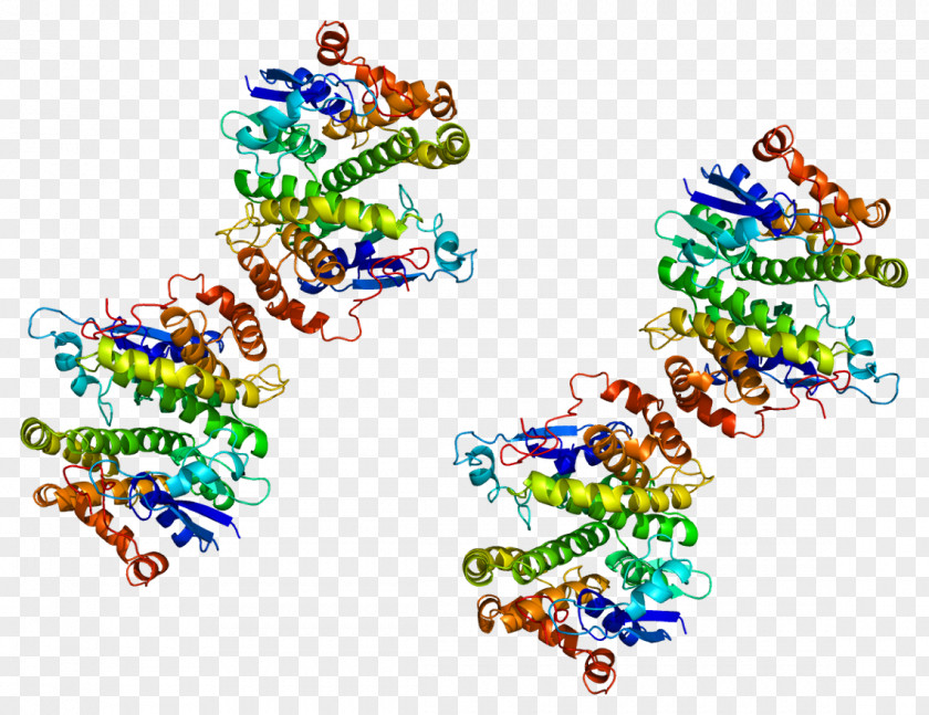 Gluta GSTM4 Glutathione S-transferase M4 Protein Enzyme PNG