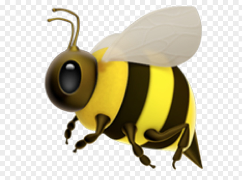 Bee Western Honey Insect Bumblebee Hornet PNG