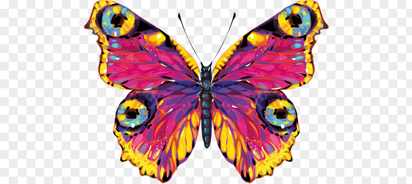 Butterfly Monarch Moth PNG