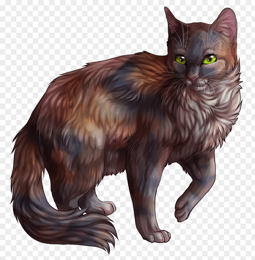 Cat Warriors Tawnypelt Brackenfur Feathertail PNG