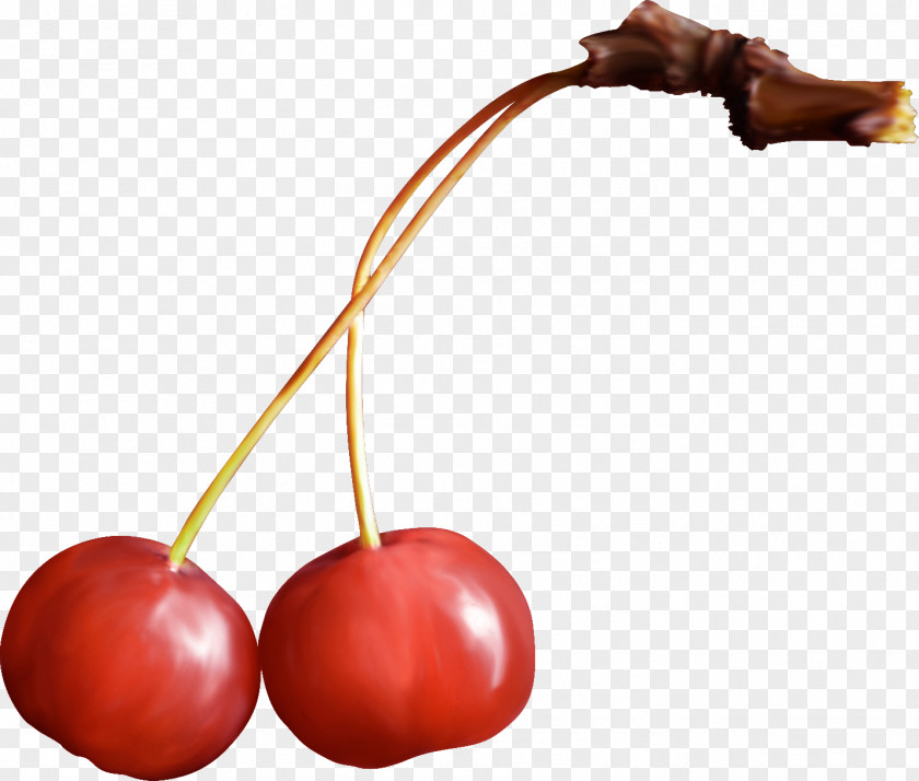 Cherry Fruit Berry Clip Art PNG