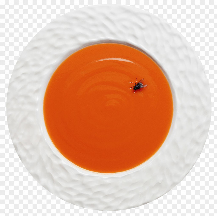 Fly In Soup Dish Network PNG