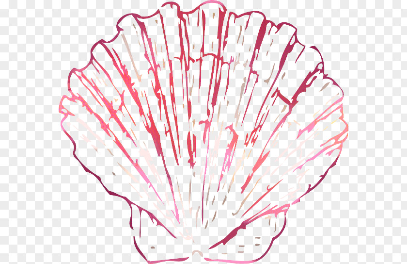 Pink Shellfish Background PNG