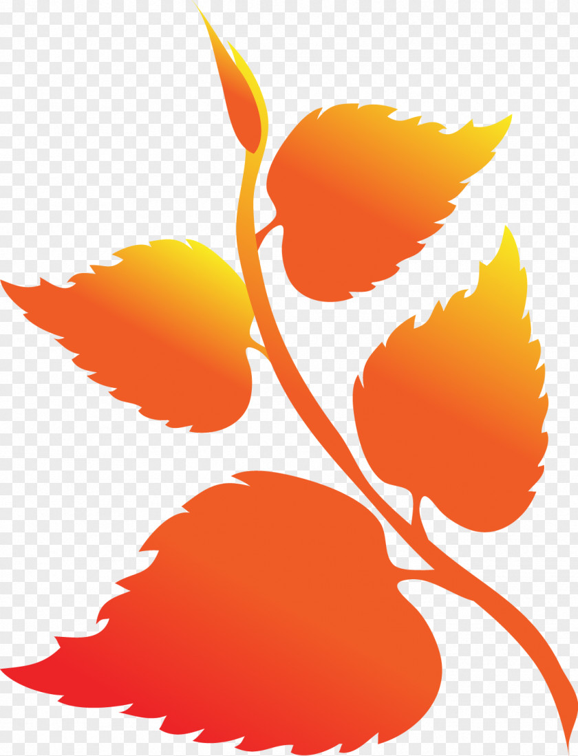Red Maple Leaves Leaf Autumn Gold PNG