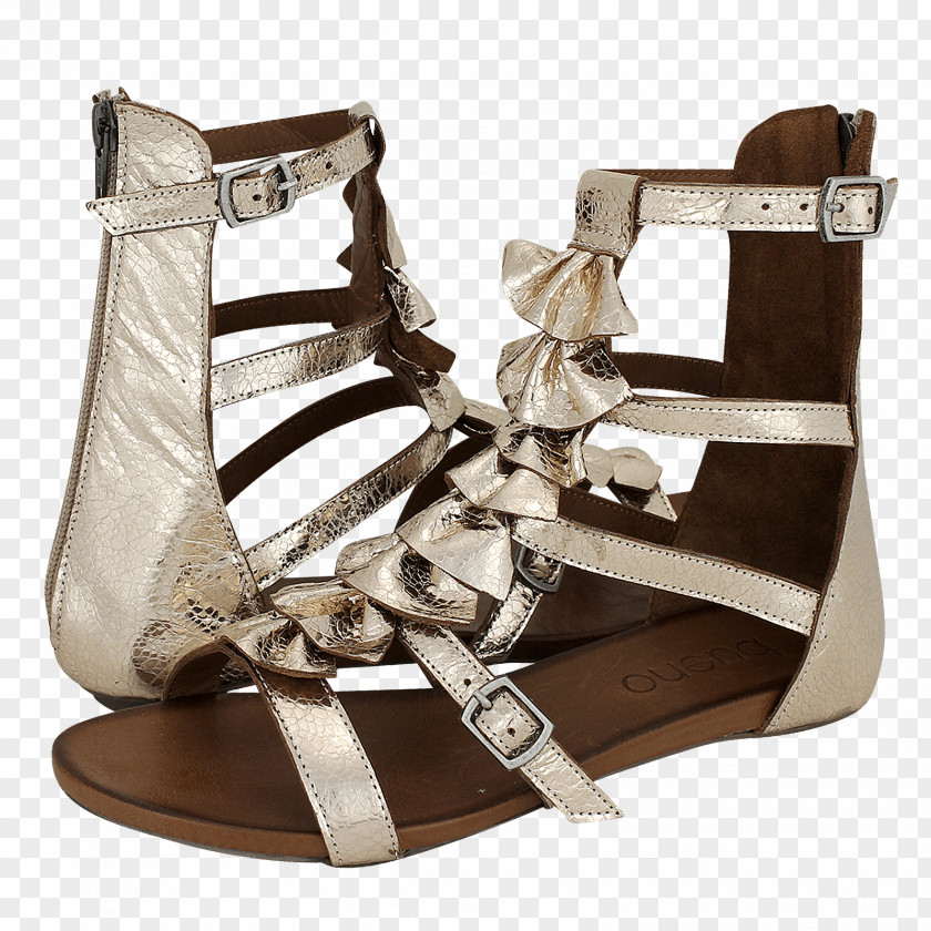 Sandal Shoe PNG