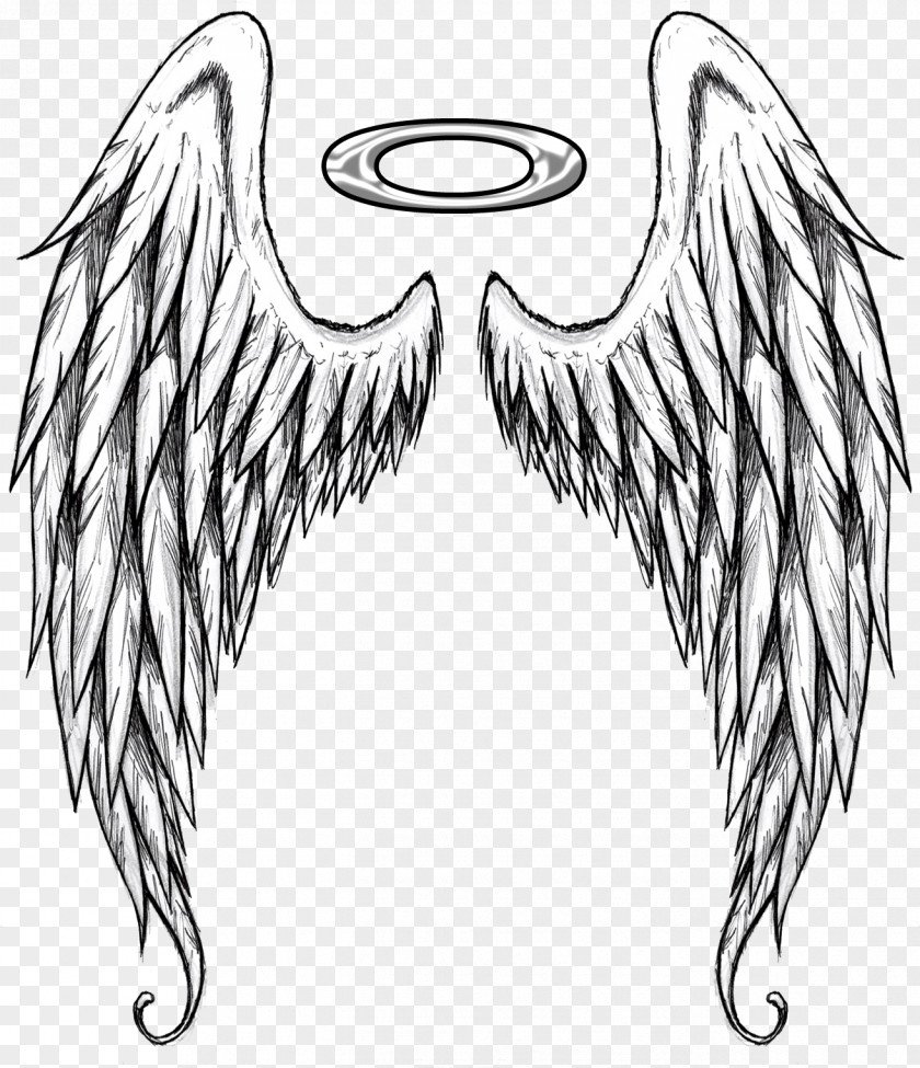 Supernatural Creature Fictional Character Feather PNG
